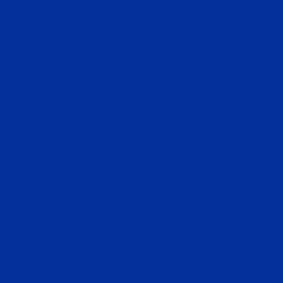 Bleu PVC.jpg